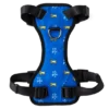 Rocket Dog Harness