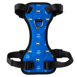 Rocket Dog Harness